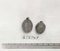 Click for 1 image(s) for this accession. FRUIT